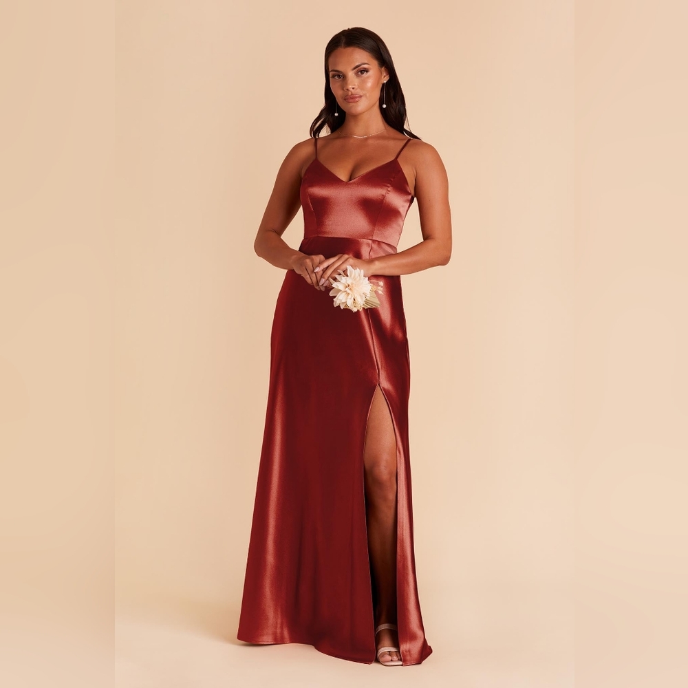 NWT Birdy Grey Jay satin Dress in Spice size Medium